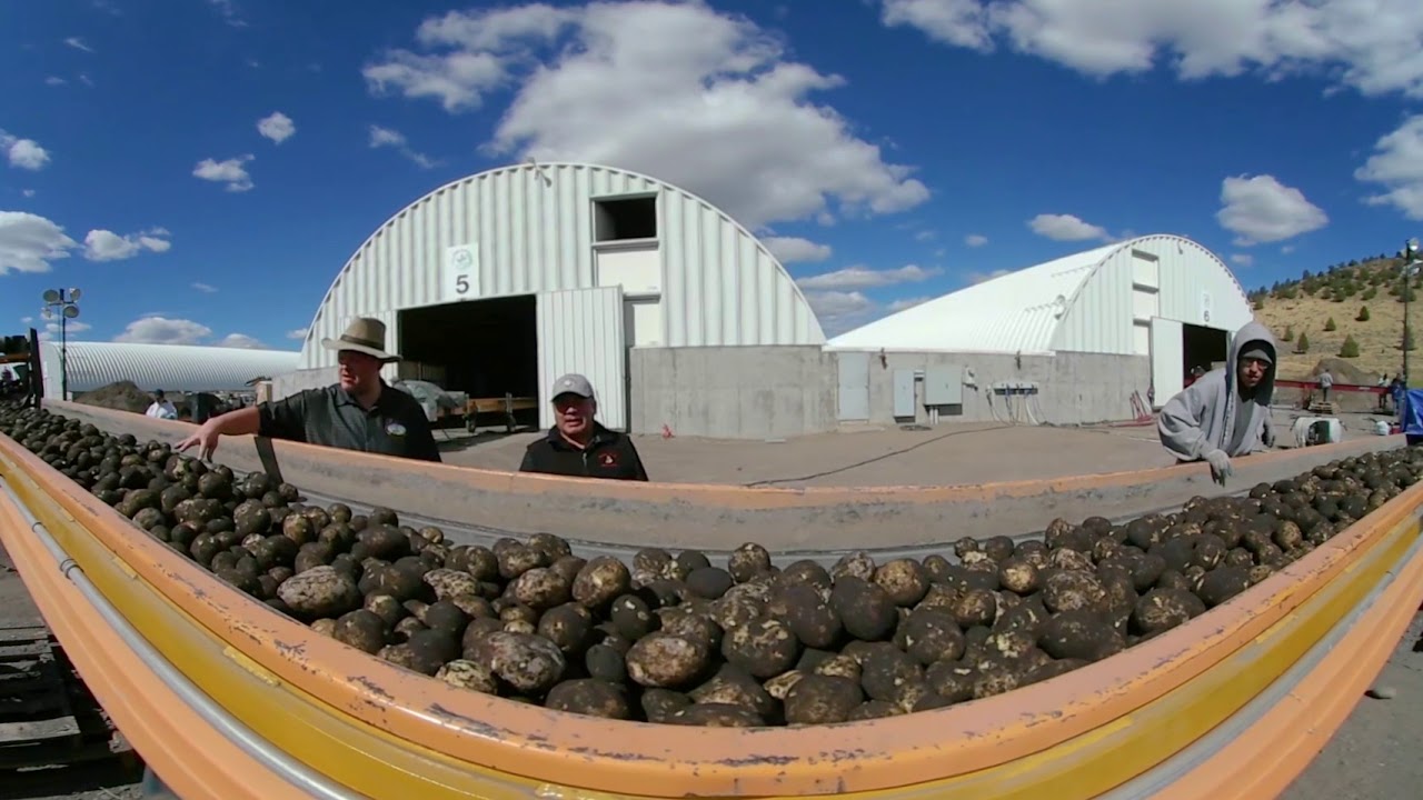 Tater Tracker - Gold Dust Farms, OR