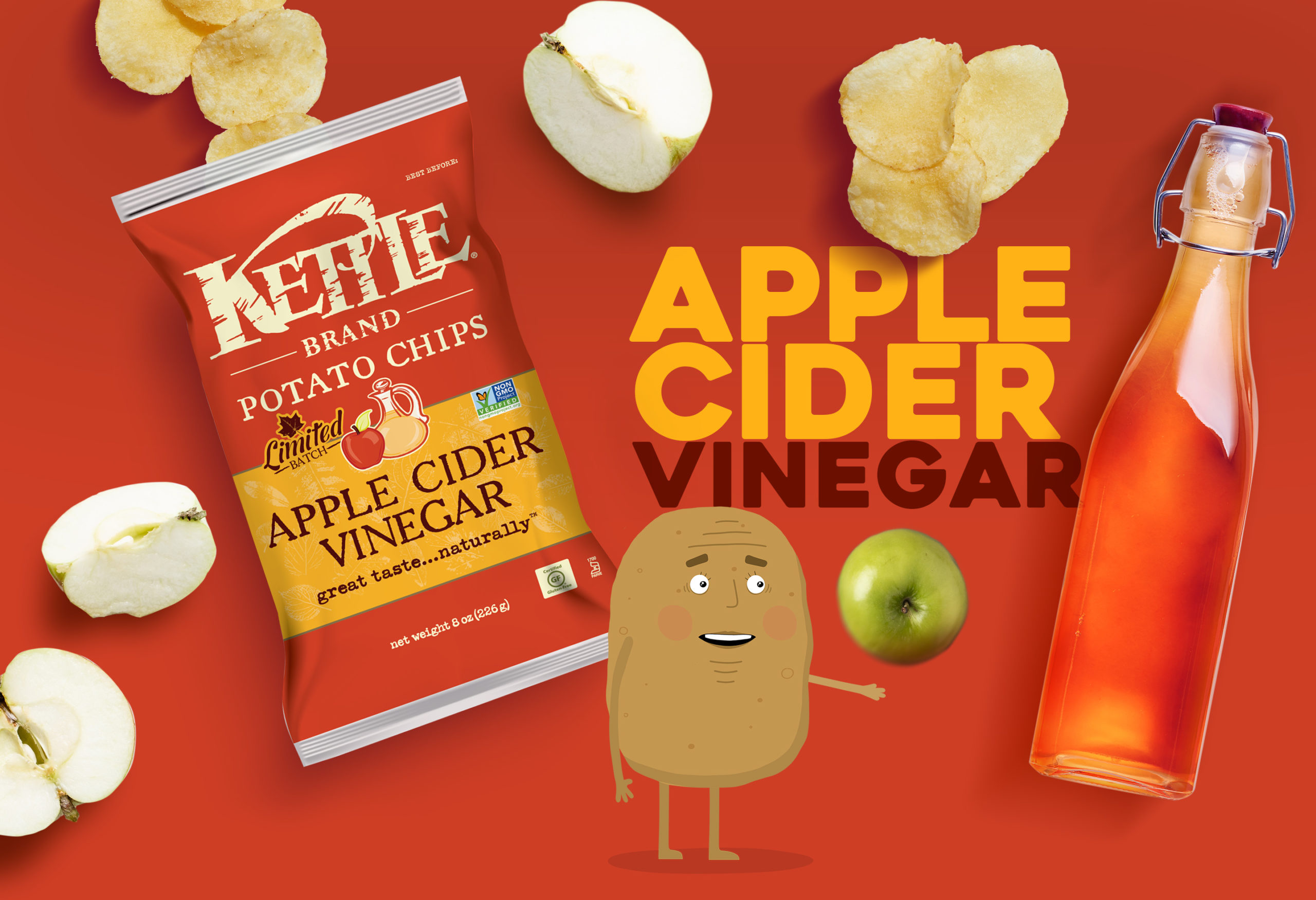 Apple Cider Vinegar Kettle Chips